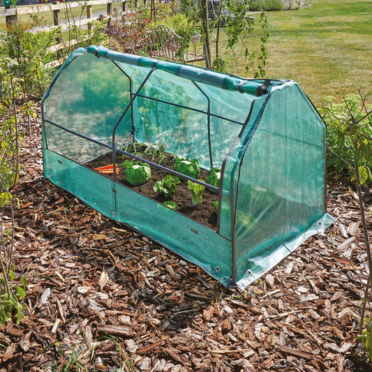 Garden Cloche Mini Greenhouse Outdoor Garden Allotment Plant Fruit Veg Growhouse