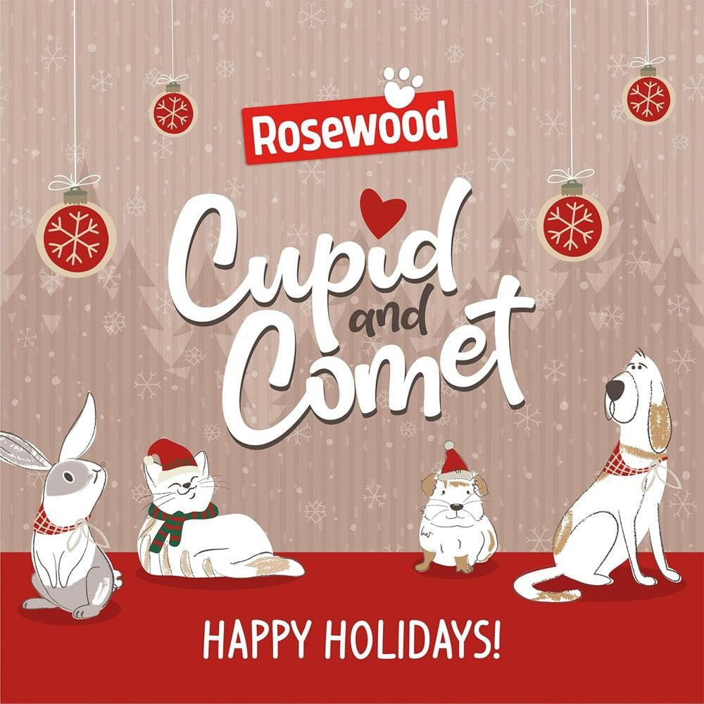 Rosewood Christmas Natural Selection Box Treats for Dogs 175G